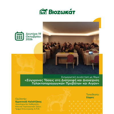 εικόνα blog